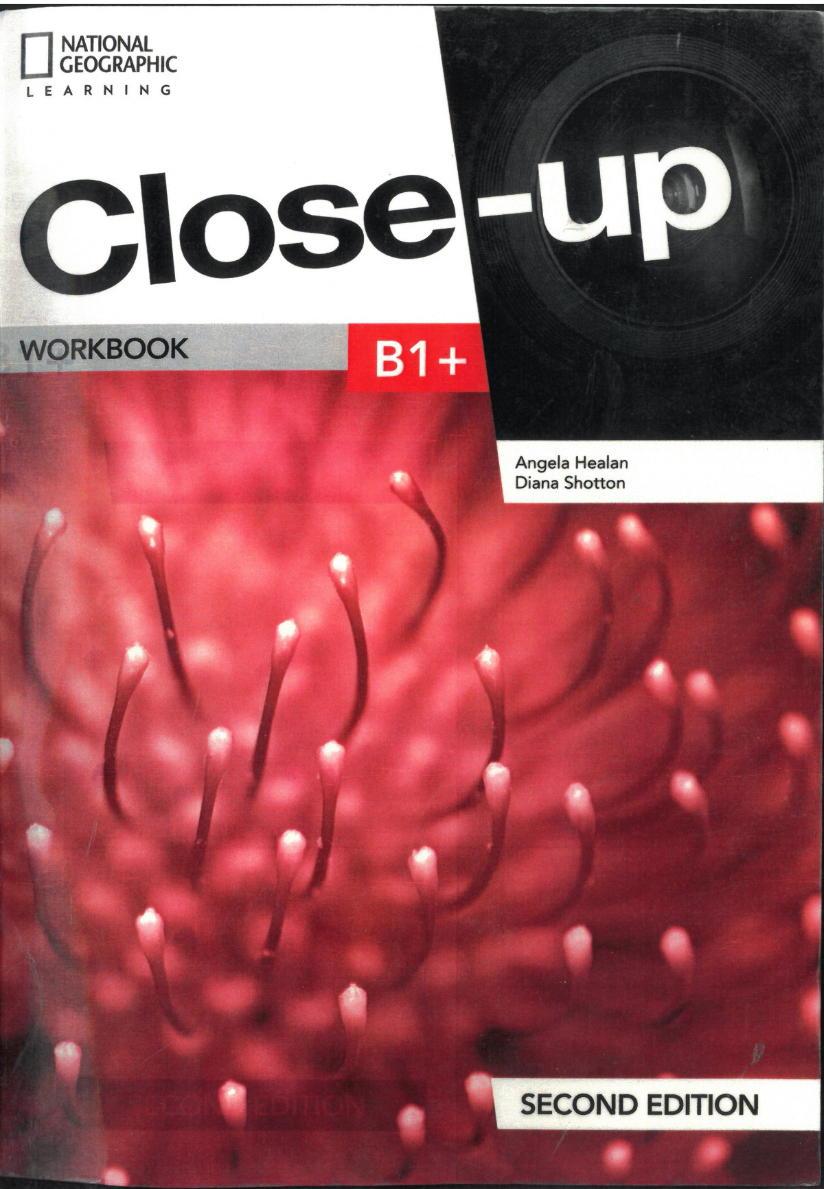 Closeup Emea B1 2e Work Bookonline 2nd Edition Angela Healan