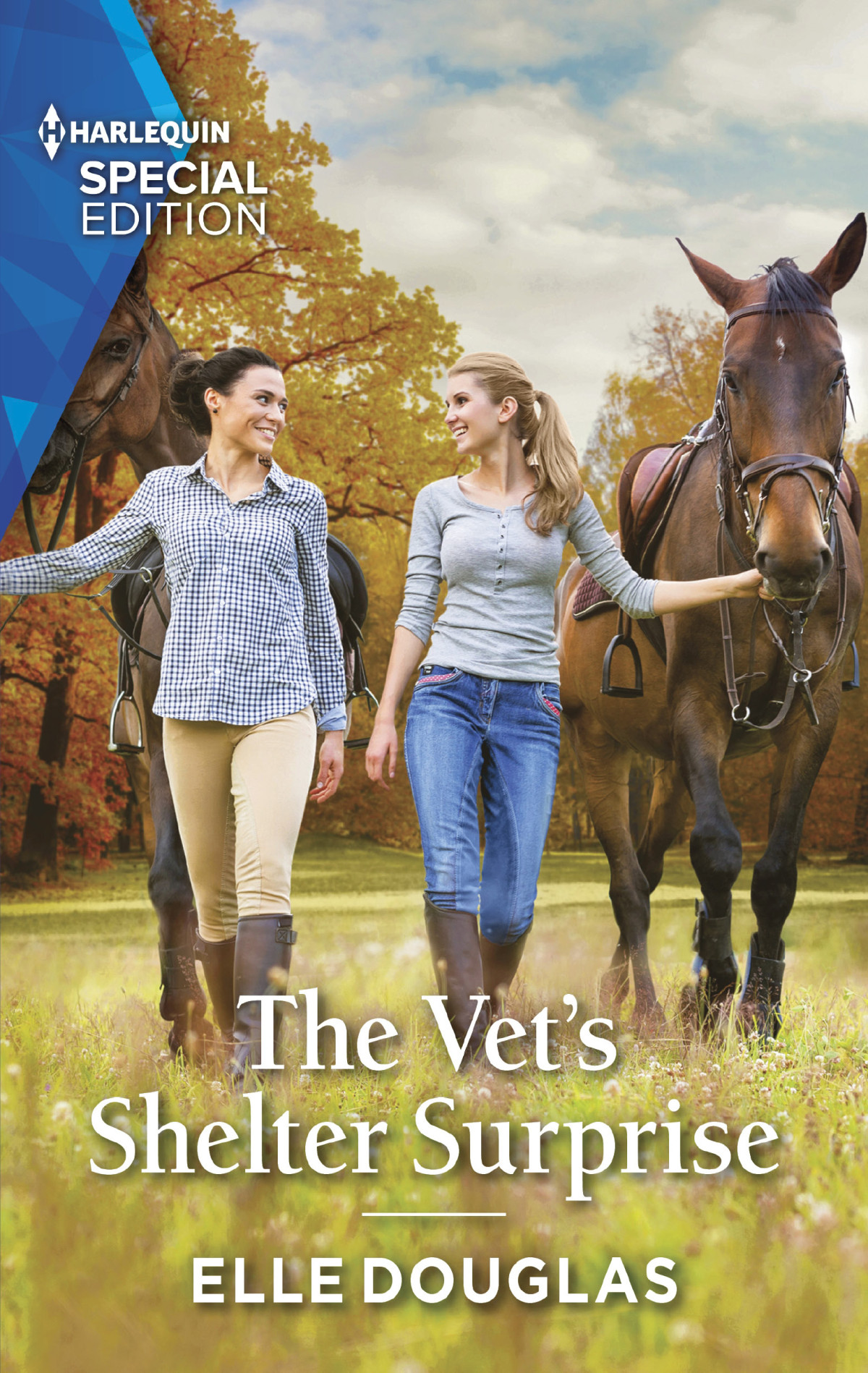 The Vets Shelter Surprise Elle Douglas