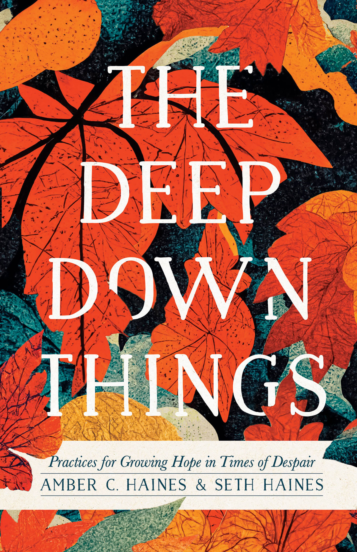 The Deep Down Things Amber C Haines