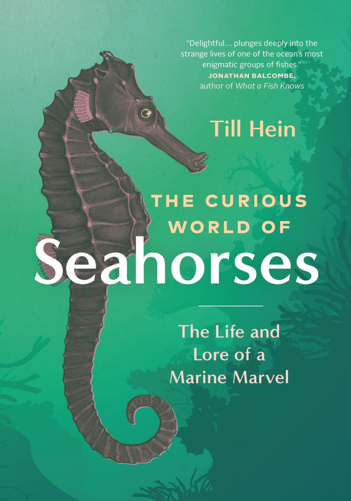 The Curious World Of Seahorses The Life And Lore Of A Marine Marvel Till Hein