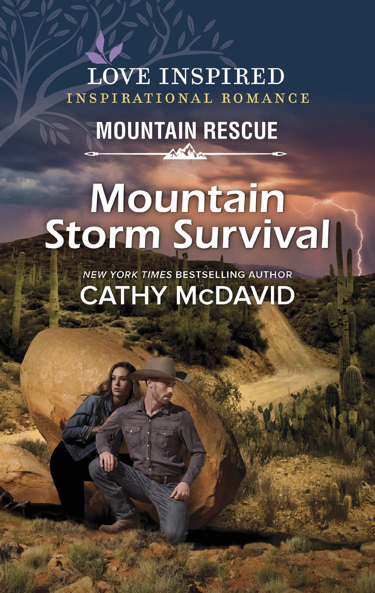 Mountain Storm Survival Cathy Mcdavid