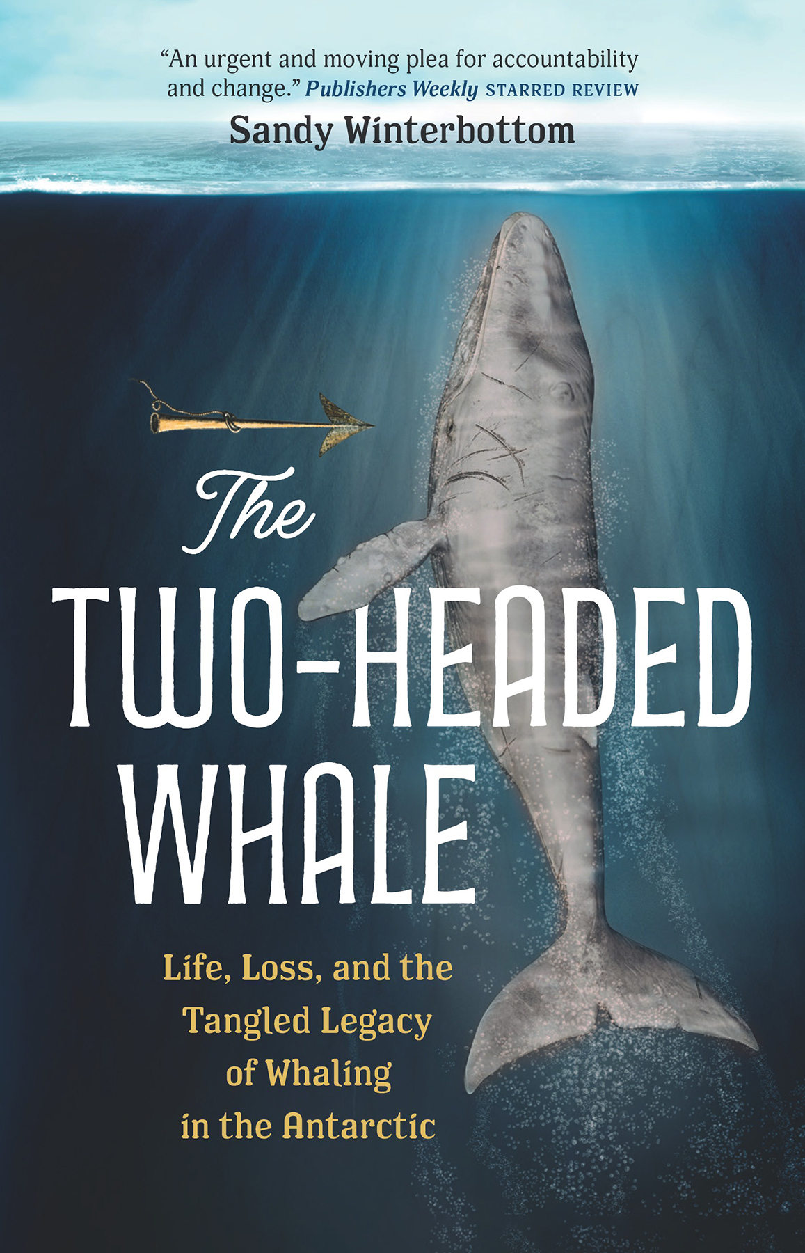 The Twoheaded Whale Life Loss And The Tangled Legacy Of Whaling In The Antarctic Sandy Winterbottom