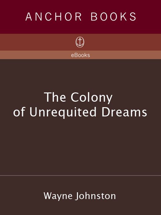 The Colony Of Unrequited Dreams Wayne Johnston