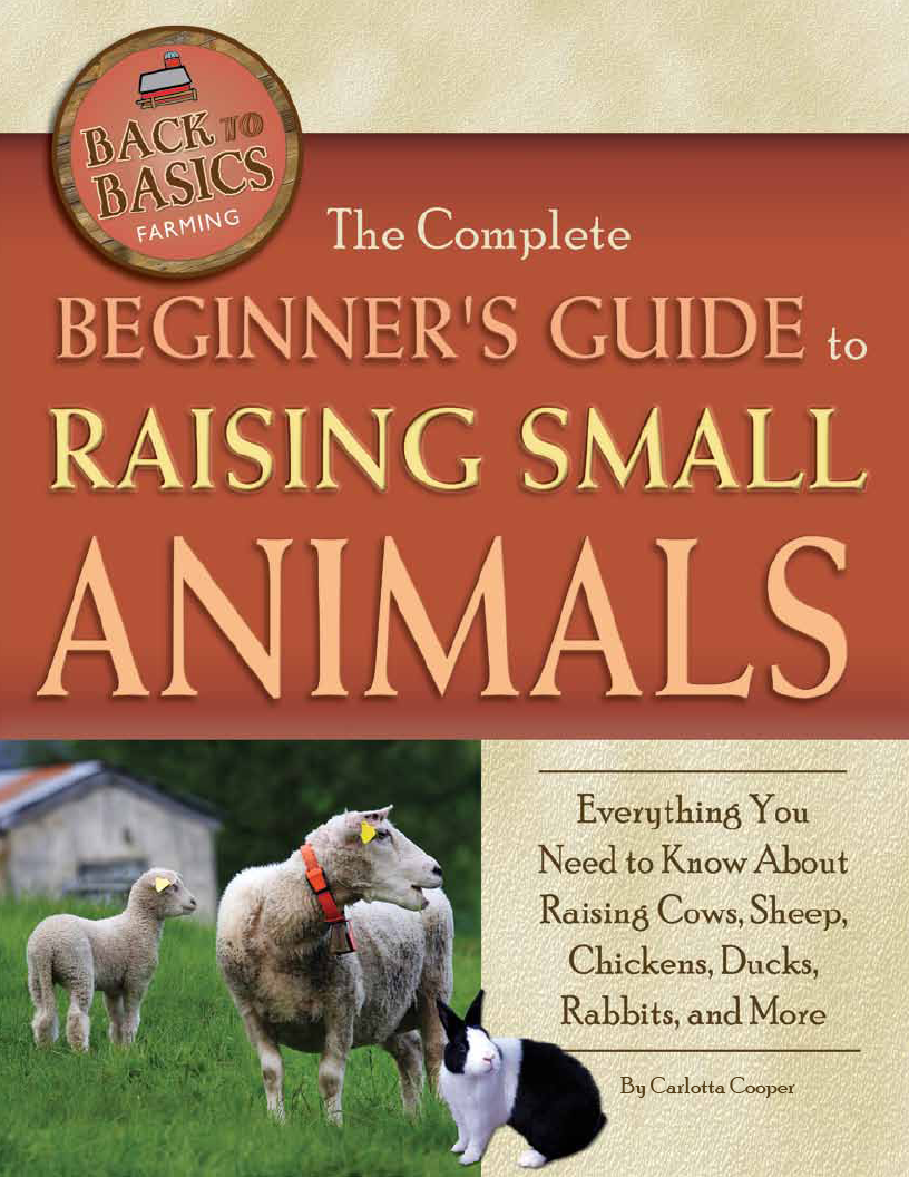 The Complete Beginners Guide To Raising Small Animal Carlotta Cooper