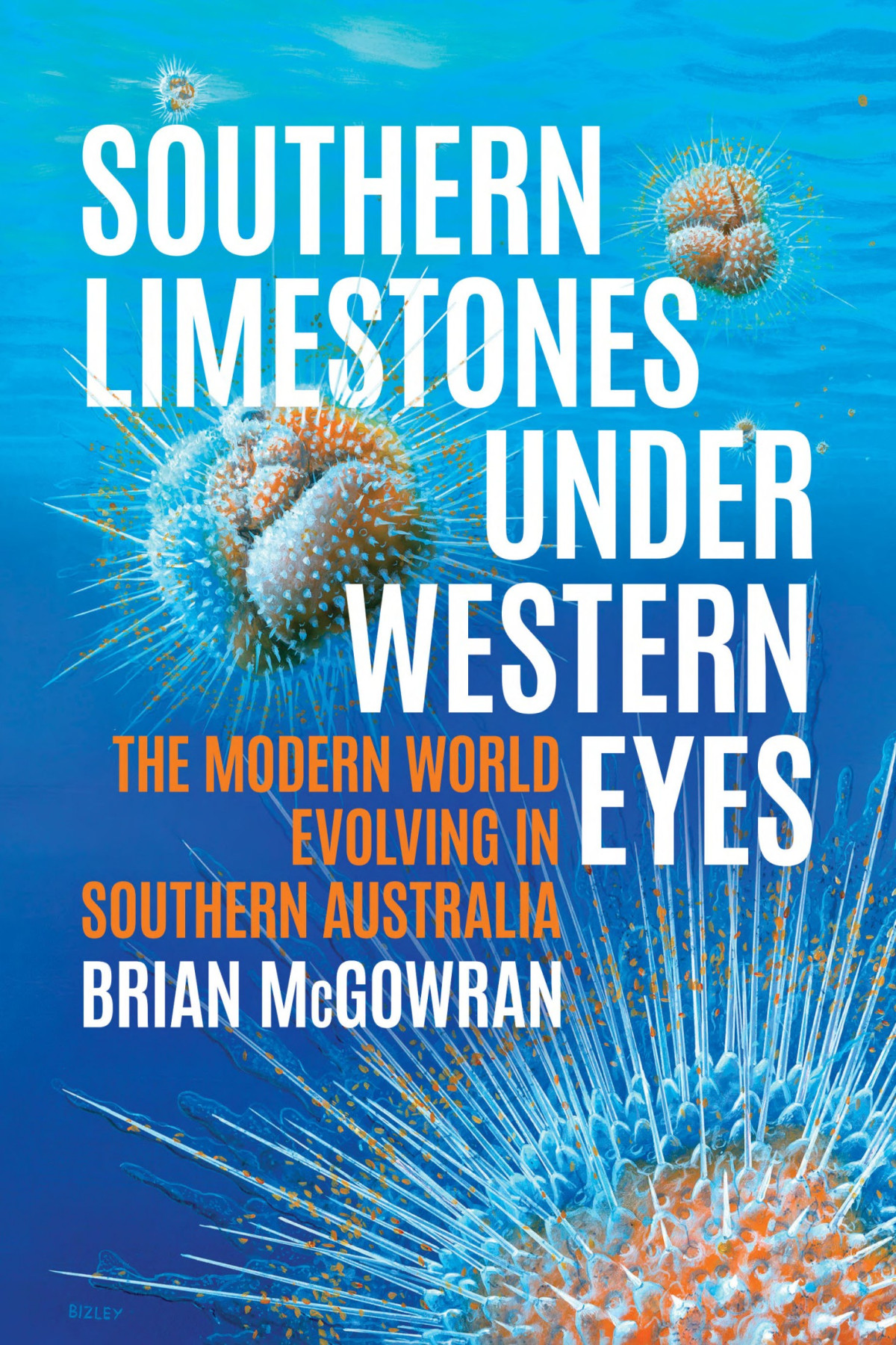 Southern Limestones Under Western Eyes Brian Mcgowran