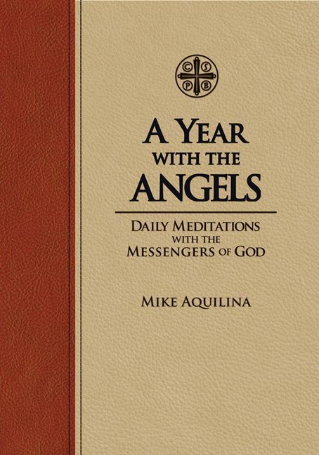 A Year With The Angels Mike Aquilina