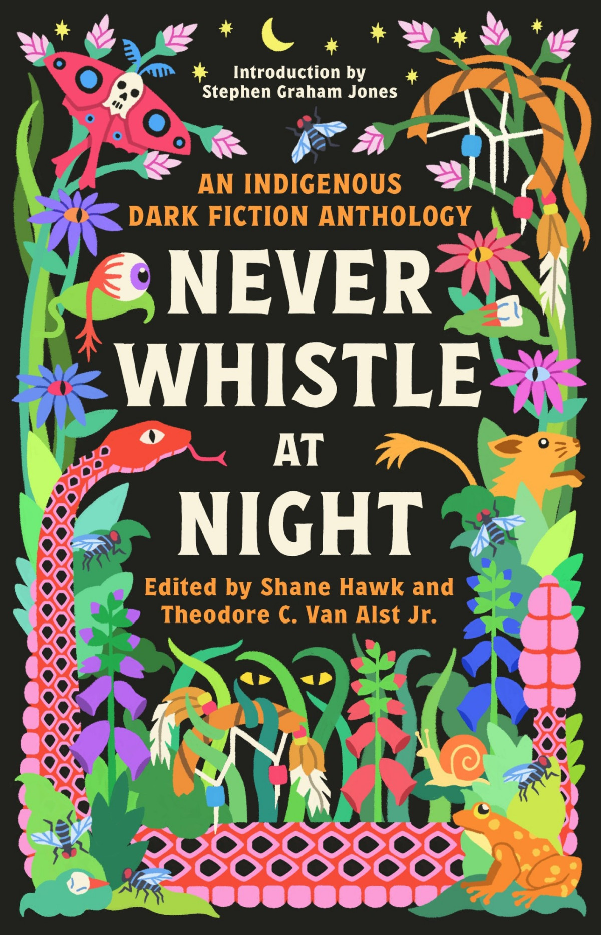 Never Whistle At Night An Indigenous Dark Fiction Anthology Shane Hawk Theodore C Van Alst Jr