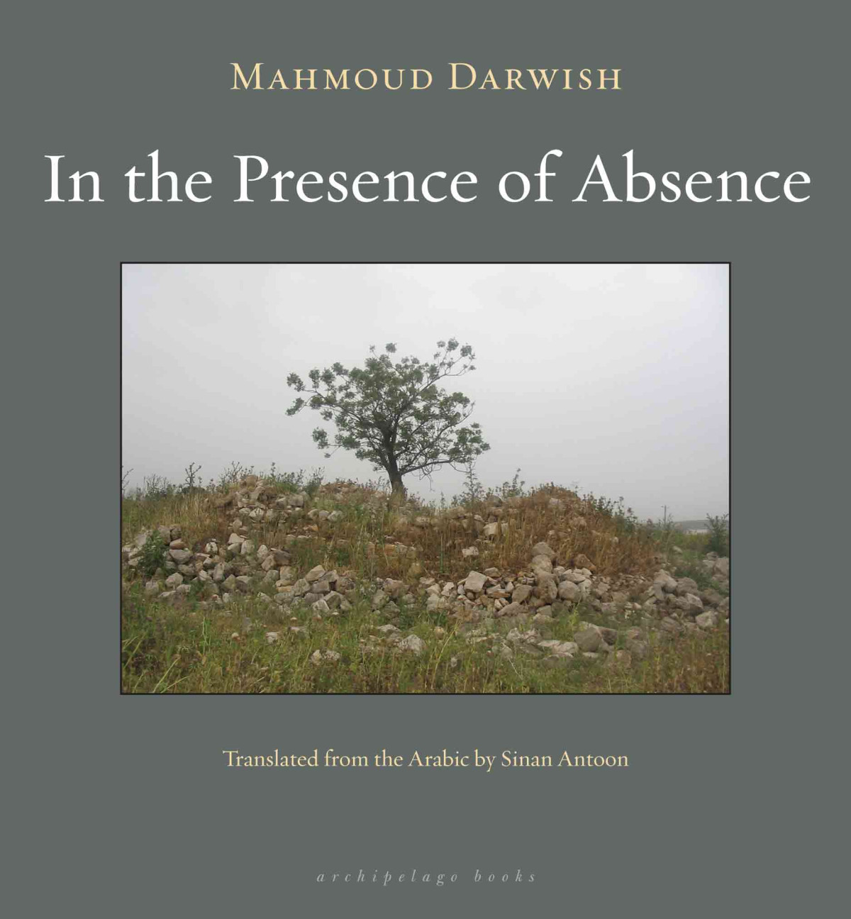 In The Presence Of Absence Mahmoud Darwish