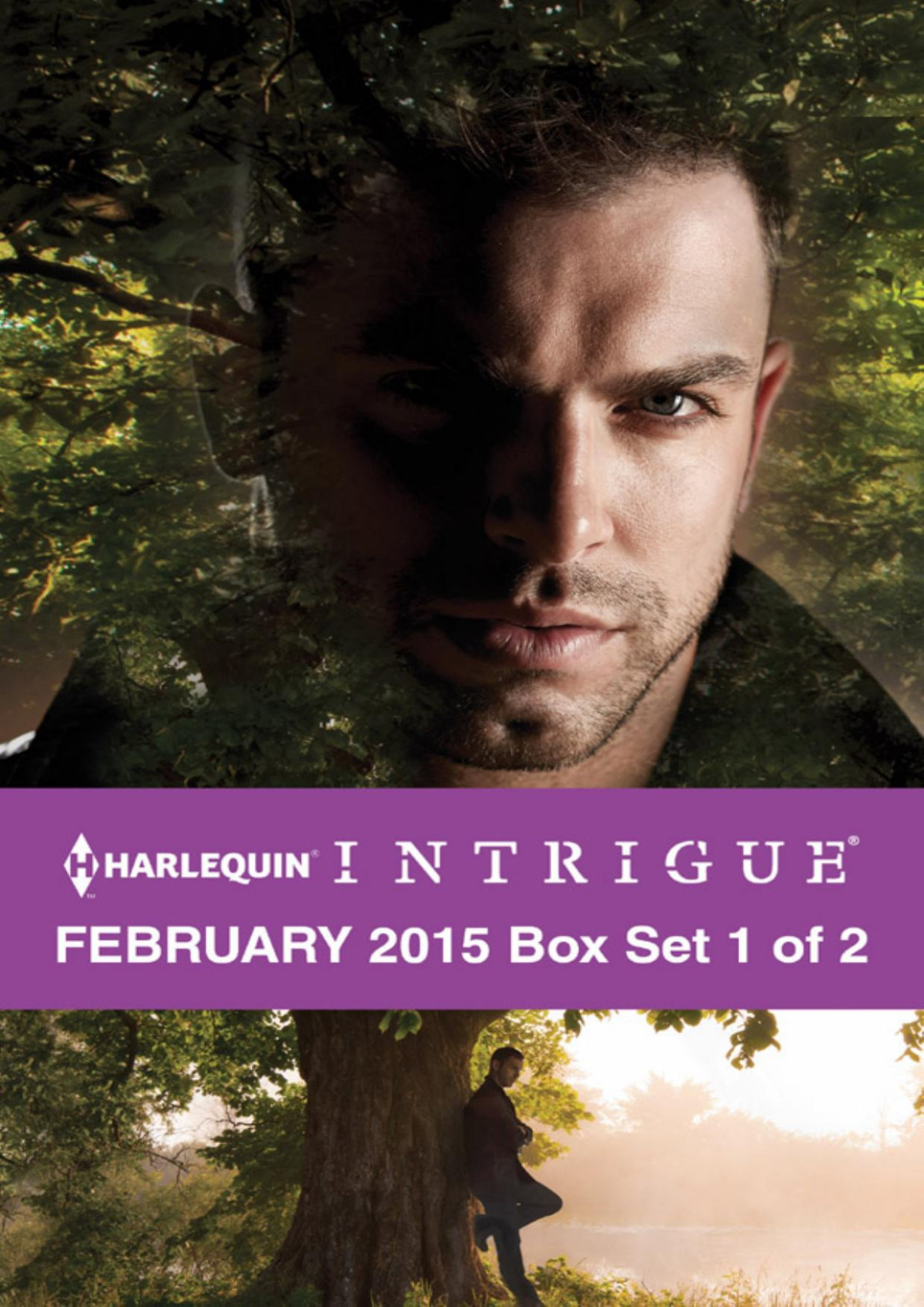 Harlequin Intrigue February 2015 Box Set 1 Of 2 Confessionsdisarming Detectivehard Target Cynthia Eden