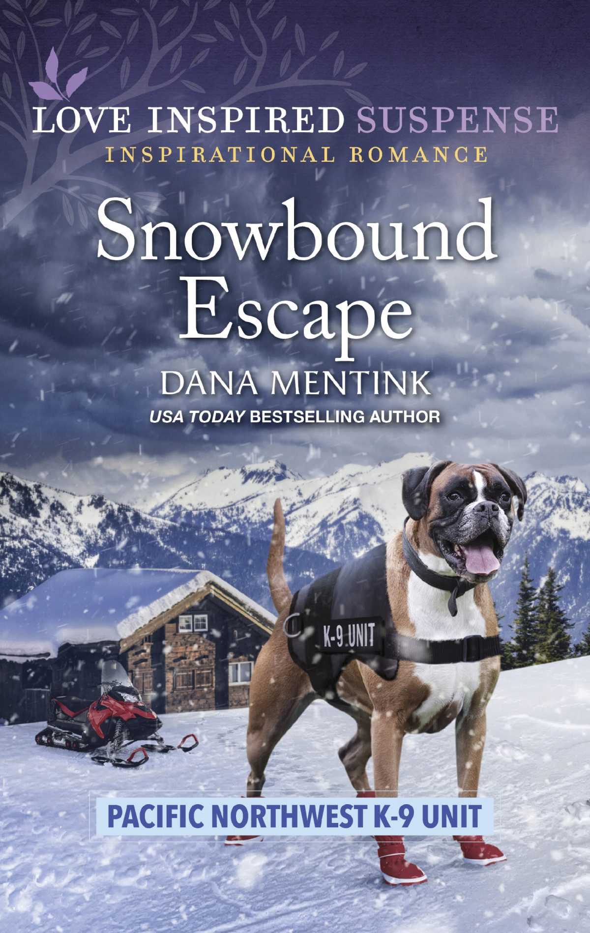 Snowbound Escape Dana Mentink