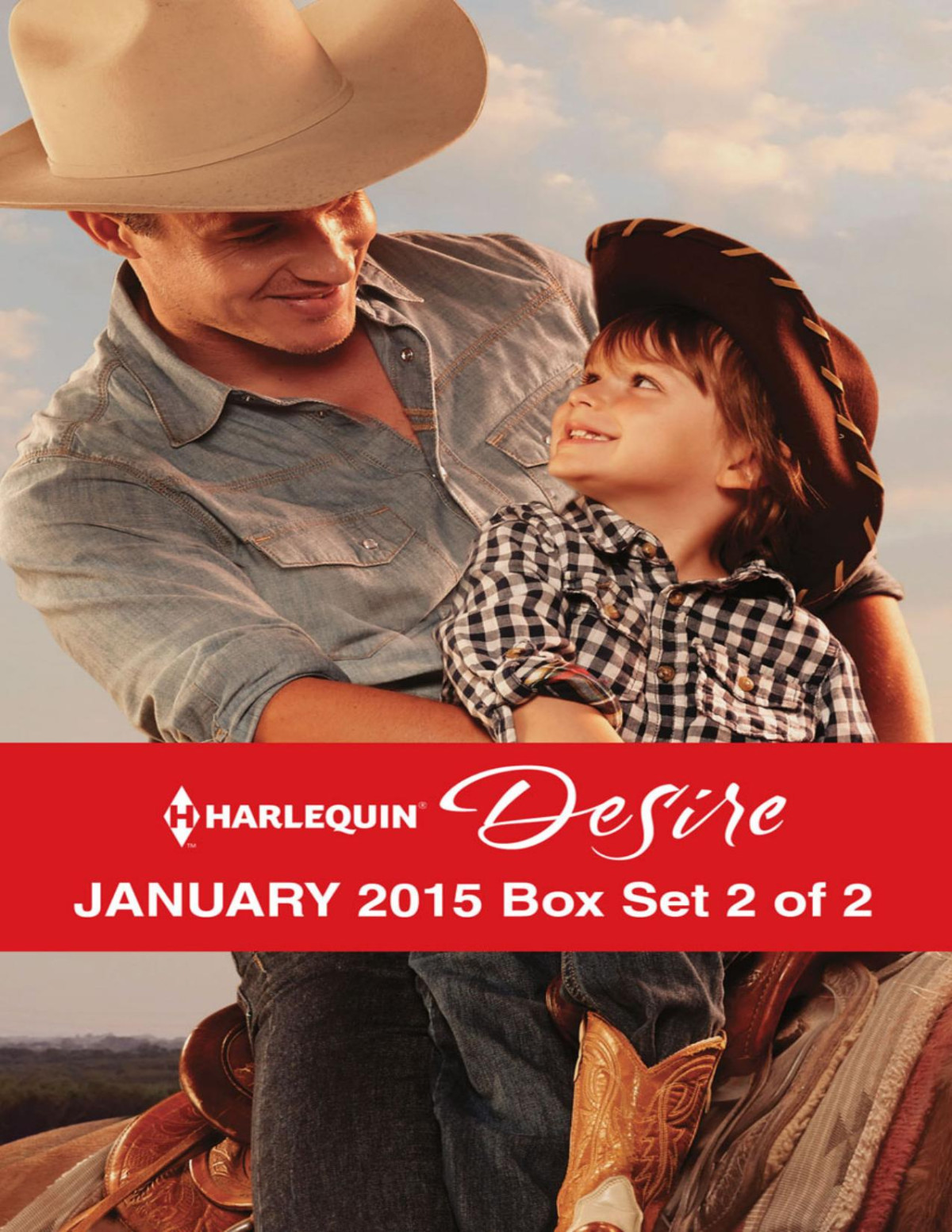 Harlequin Desire January 2015 Box Set 2 Of 2 The Cowboys Wayone Hot Desert Nightcarrying The Lost Heirs Child Kathie Denosky