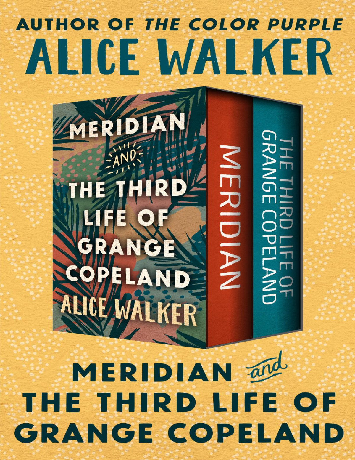 Meridian And The Third Life Of Grange Copeland Alice Walker