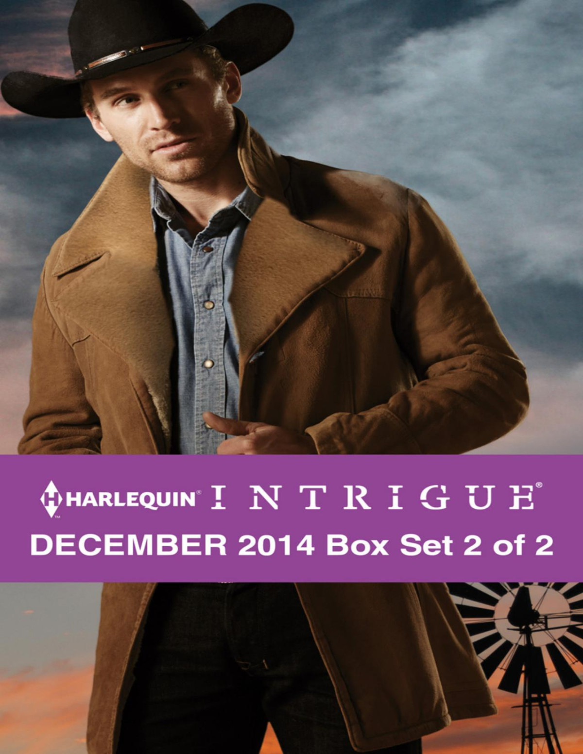 Harlequin Intrigue December 2014 Box Set 2 Of 2 Kidnapping In Kendall Countychristmas Justiceeagles Last Stand Delores Fossen