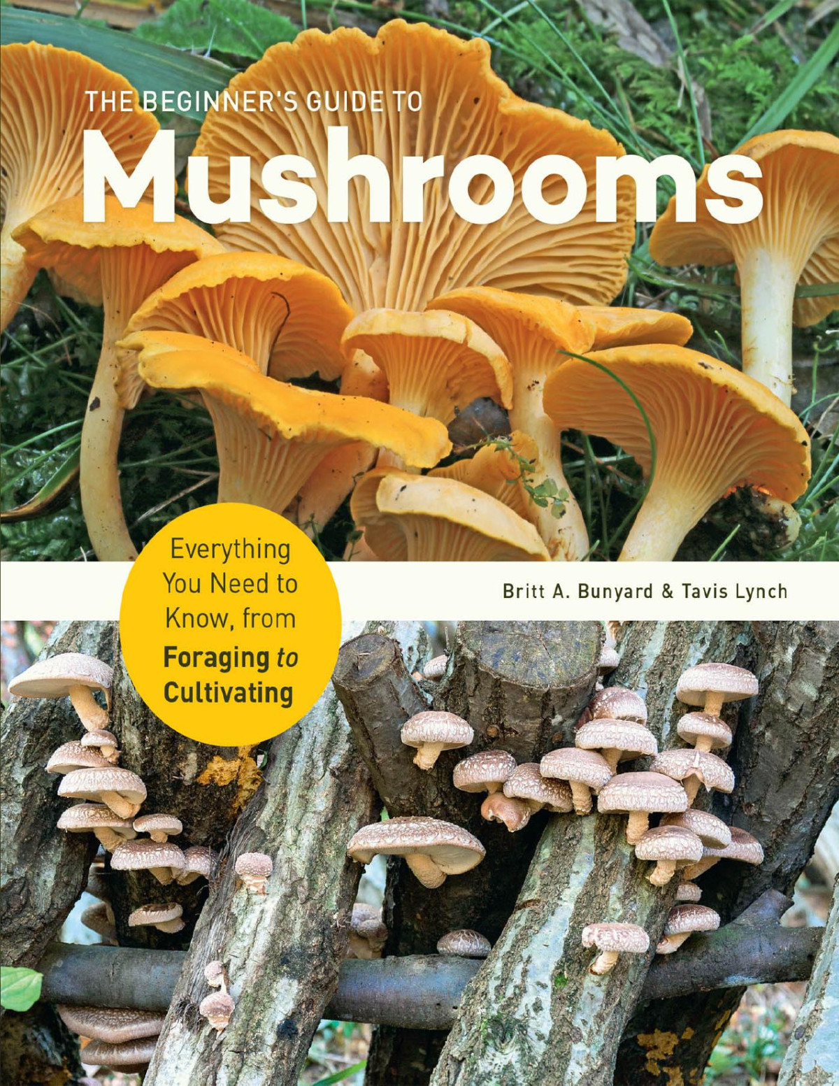 The Beginners Guide To Mushrooms Everything You Need To Know From Foraging To Cultivating Britt A Bunyard Tavis Lynch Britt A Bunyard