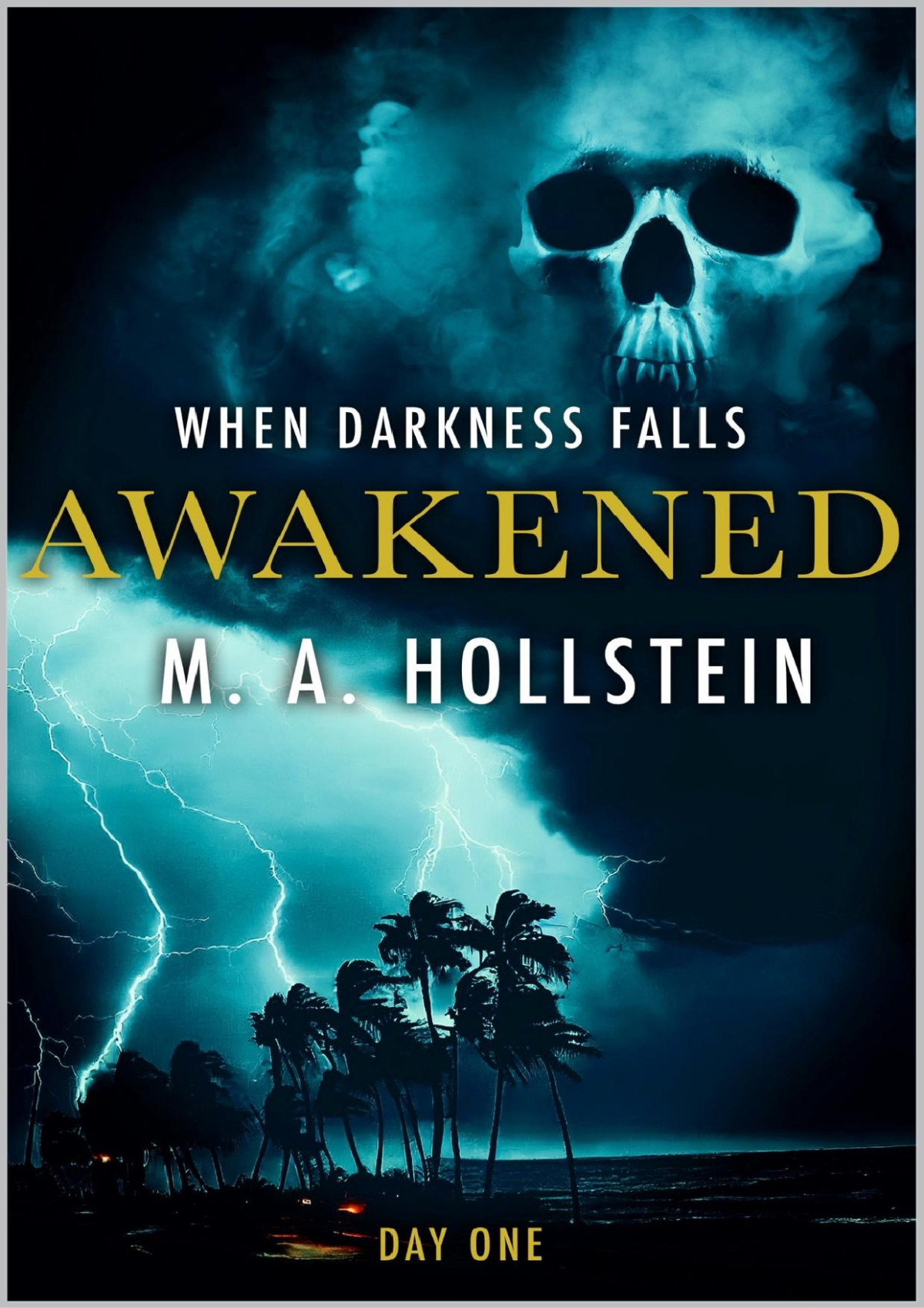Awakened When Darkness Falls M A Hollstein