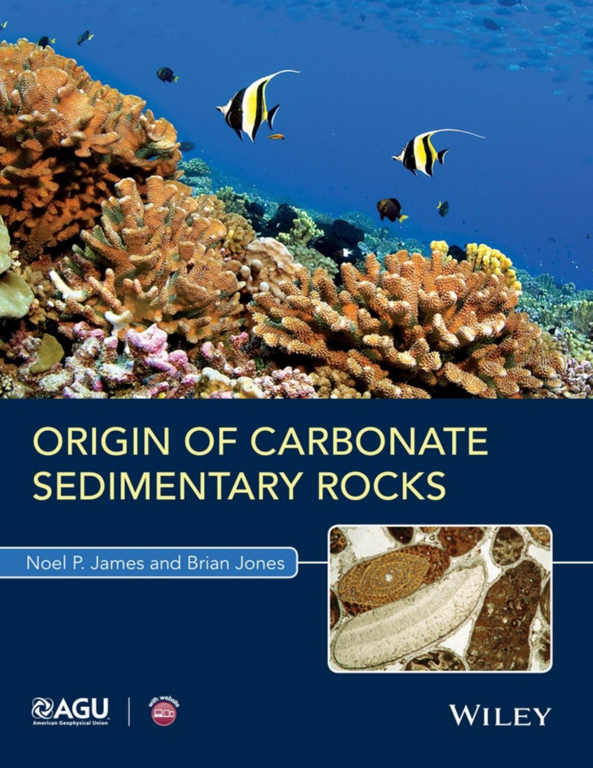 Origin Of Carbonate Sedimentary Rocks Noel P James Brian Jones