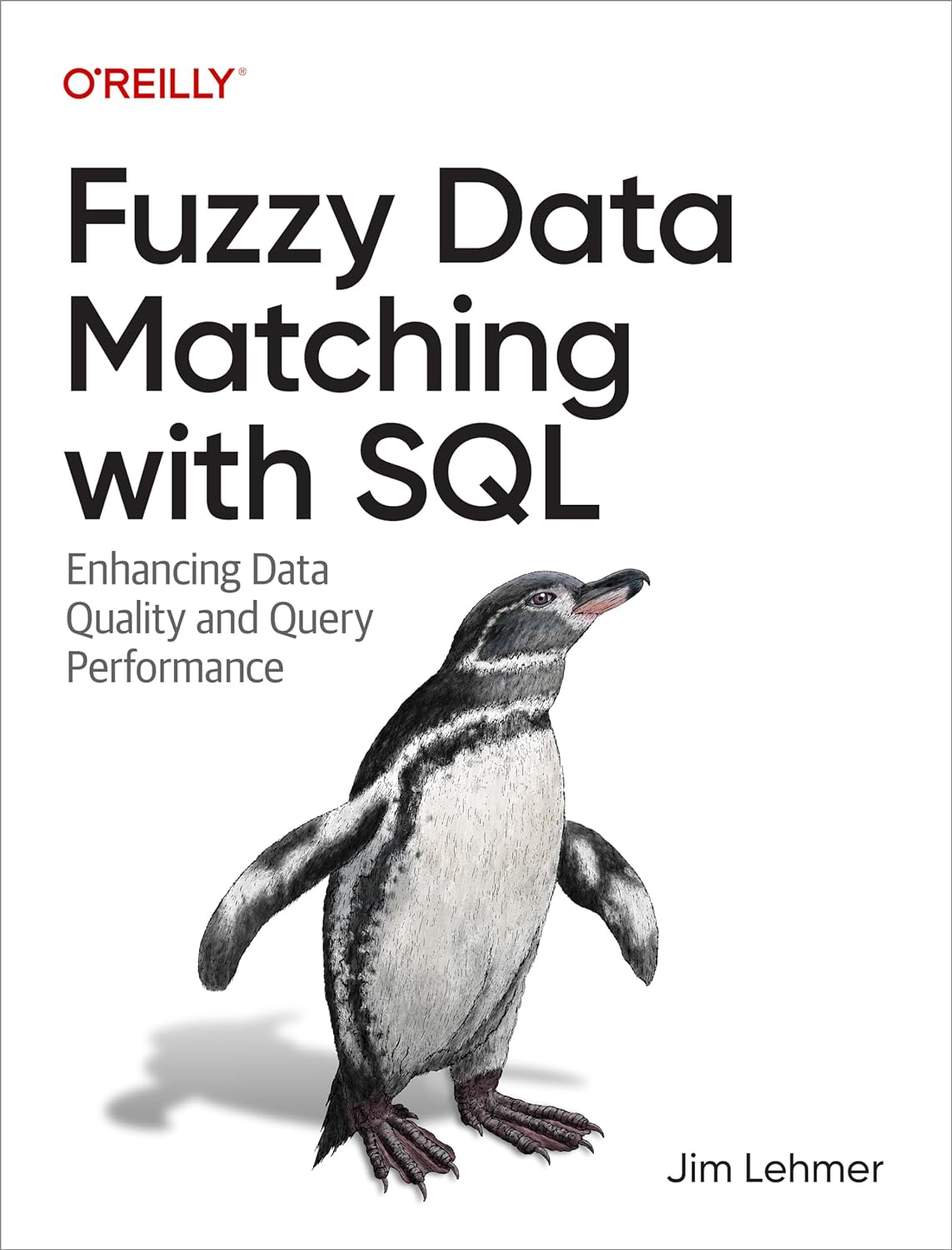 Fuzzy Data Matching With Sql Enhancing Data Quality And Query Performance 1st Edition Jim Lehmer