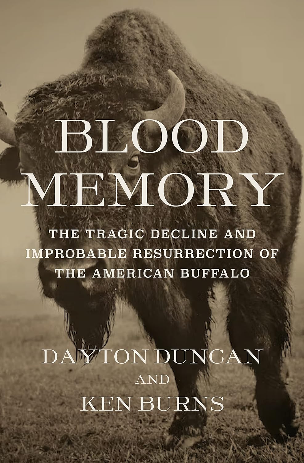 Blood Memory The Tragic Decline And Improbable Resurrection Of The American Buffalo Dayton Duncan