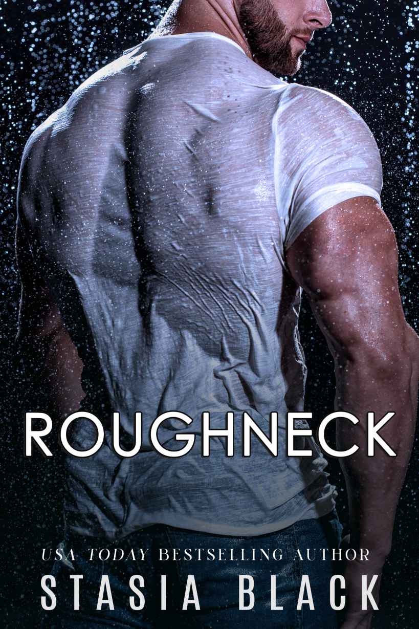 Roughneck Steamy Small Town Dark Romance Collection Stasia Black