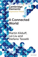 A Connected World Martin Kilduff Lei Liu Stefano Tasselli