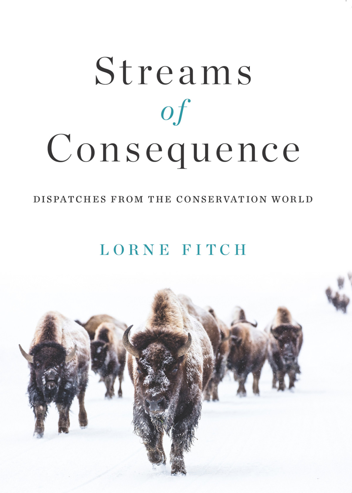 Streams Of Consequence Lorne Fitch