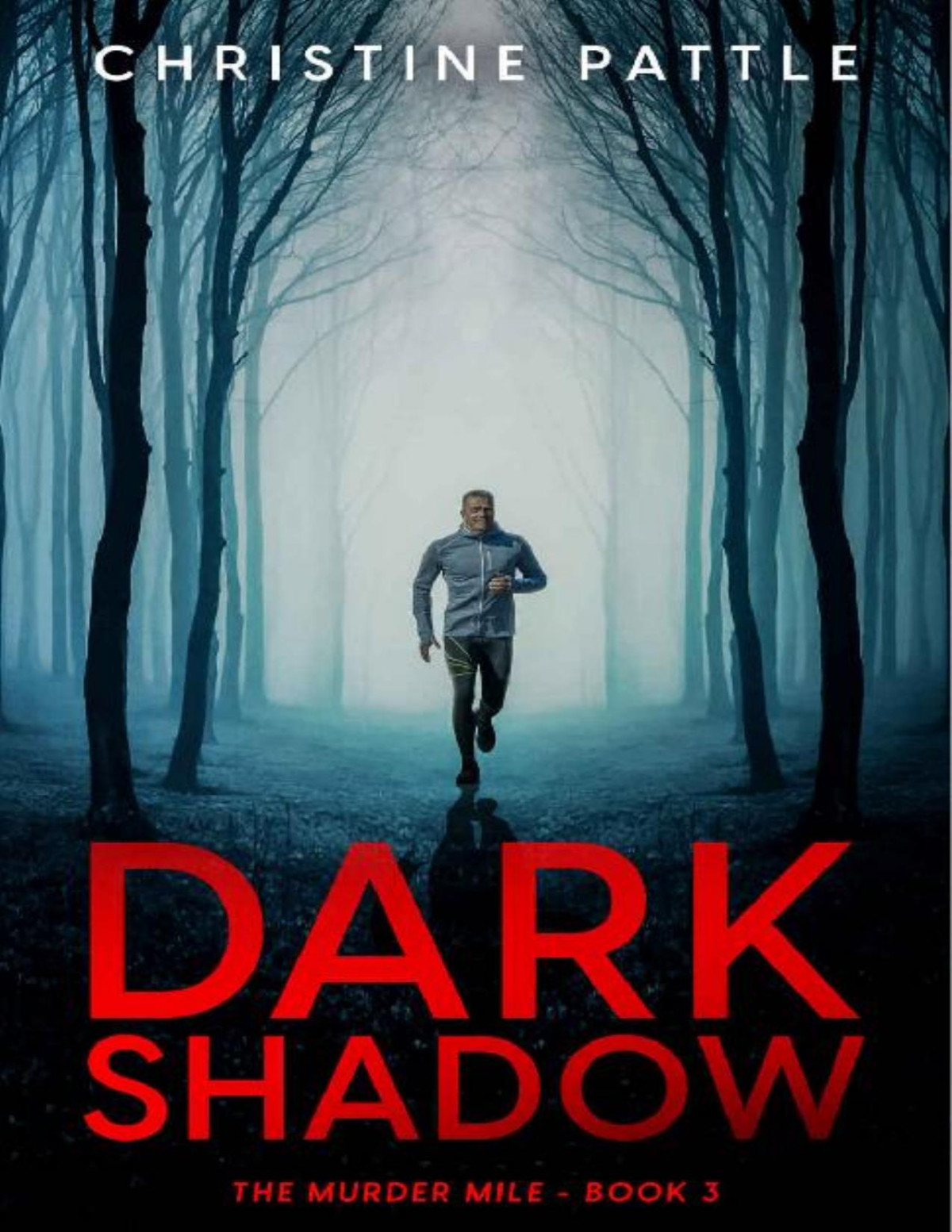 Dark Shadow The Murder Mile Book 3 1st Edition Christine Pattle