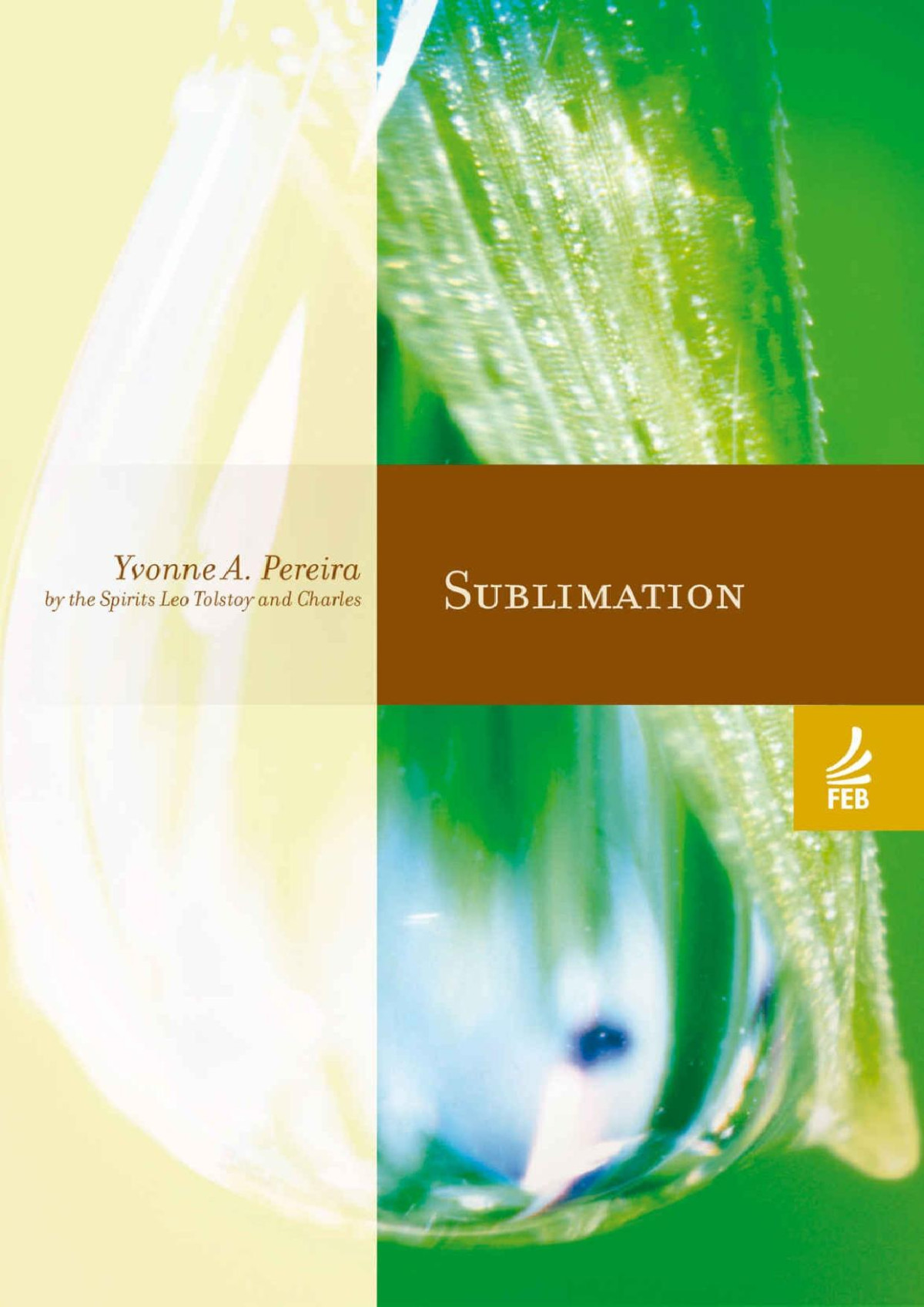 Sublimation Yvonne A Pereira