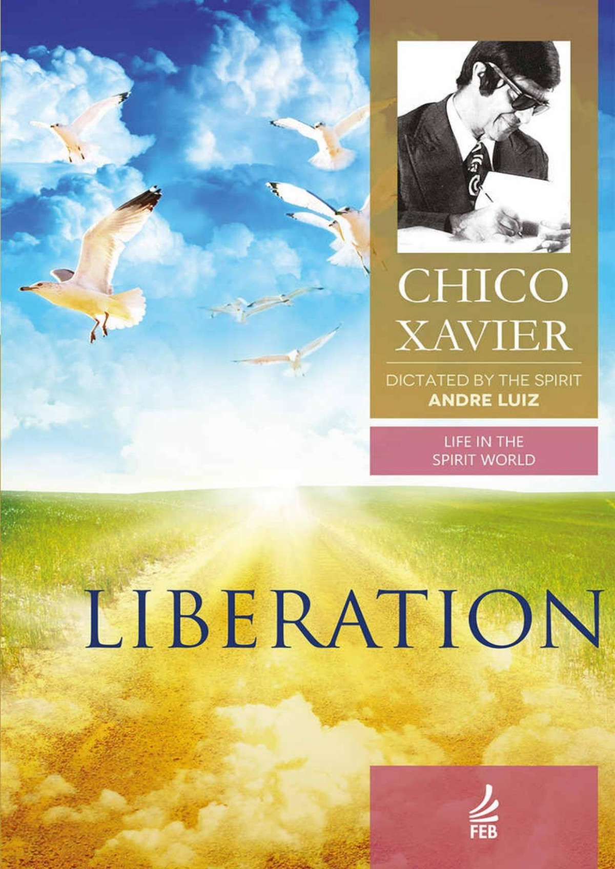 Liberation Life In The Spirit World Collection Book 6 Francisco Cndido Xavier Andr Luiz Esprito