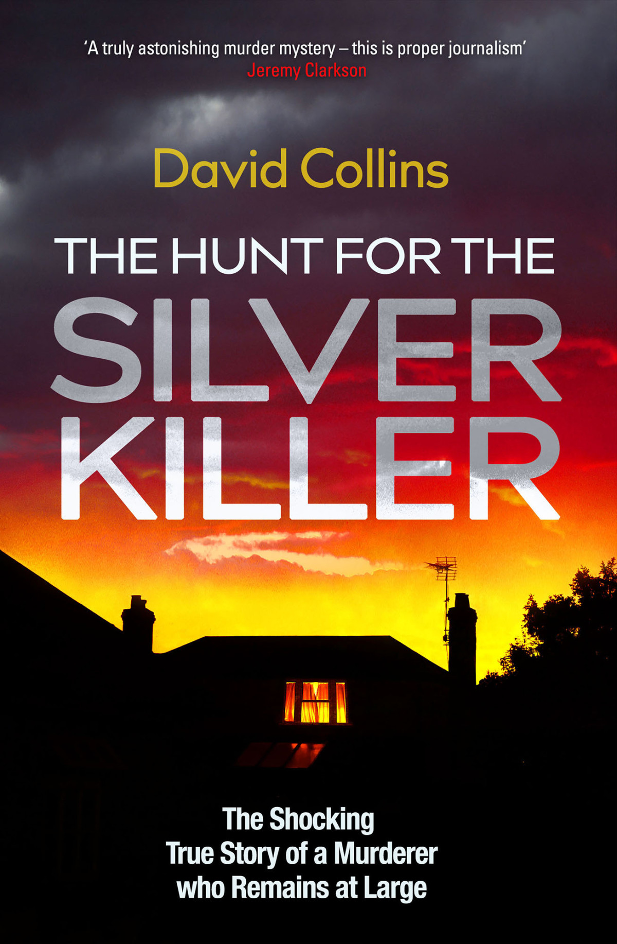 The Hunt For The Silver Killer 1st Edition David Collins
