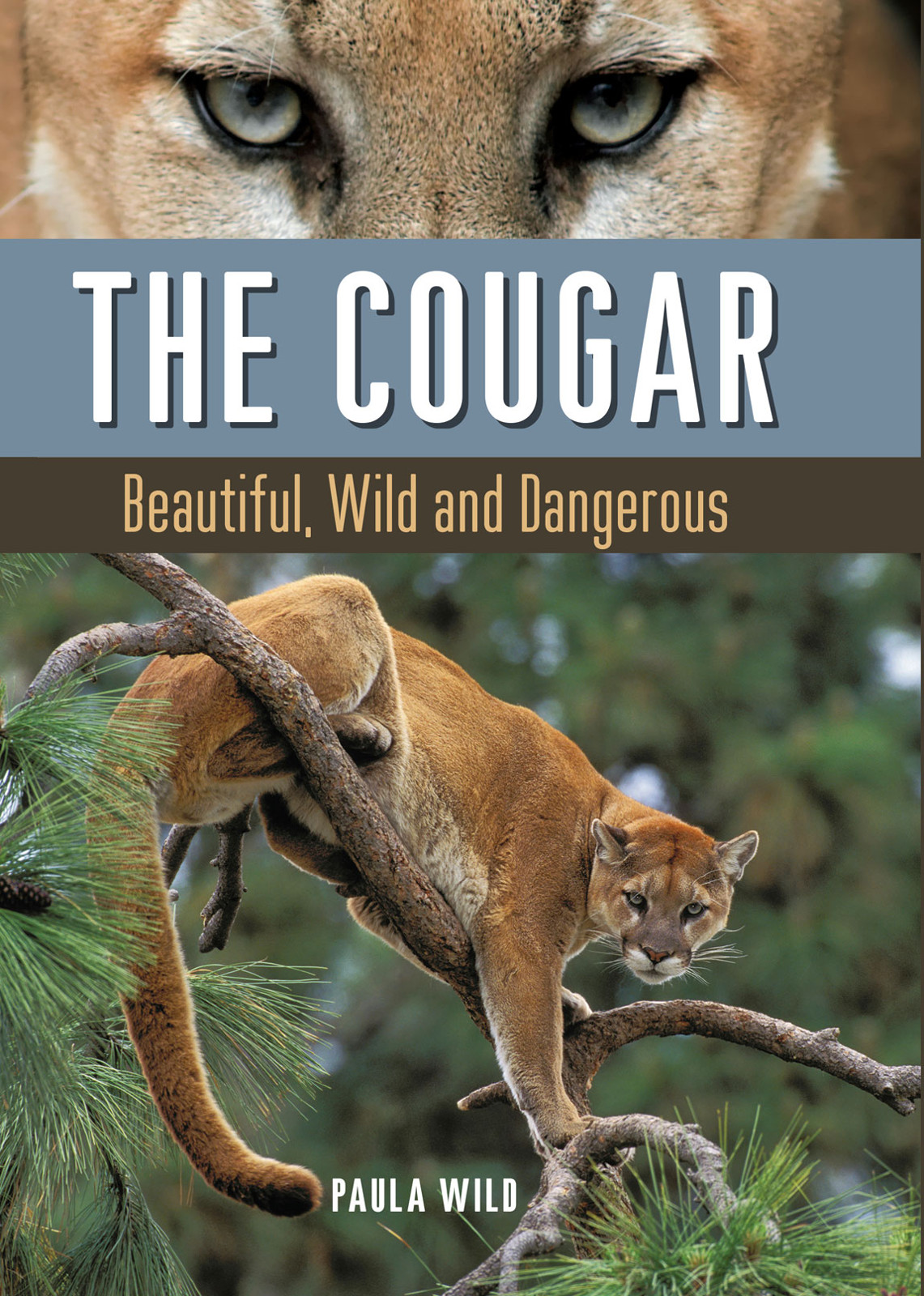 The Cougar Paula Wild