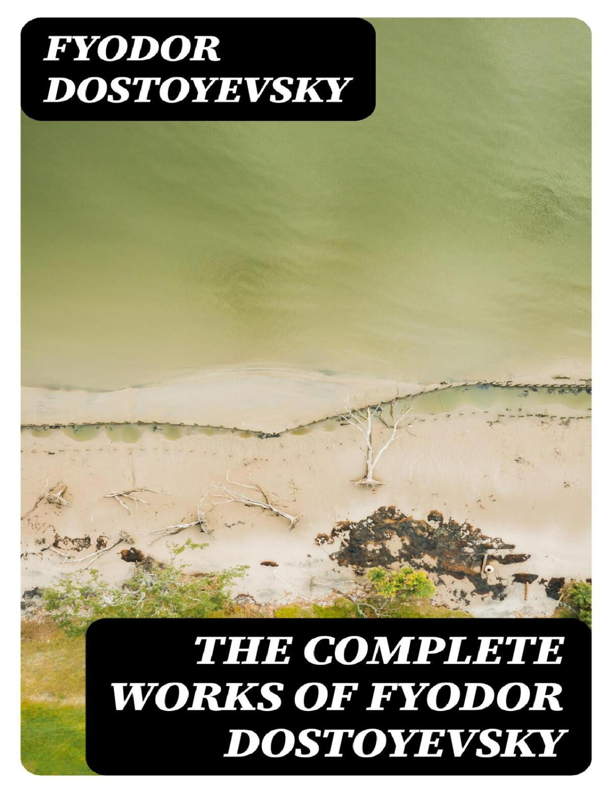 The Complete Works Of Fyodor Dostoyevsky 1st Edition Dostoyevsky