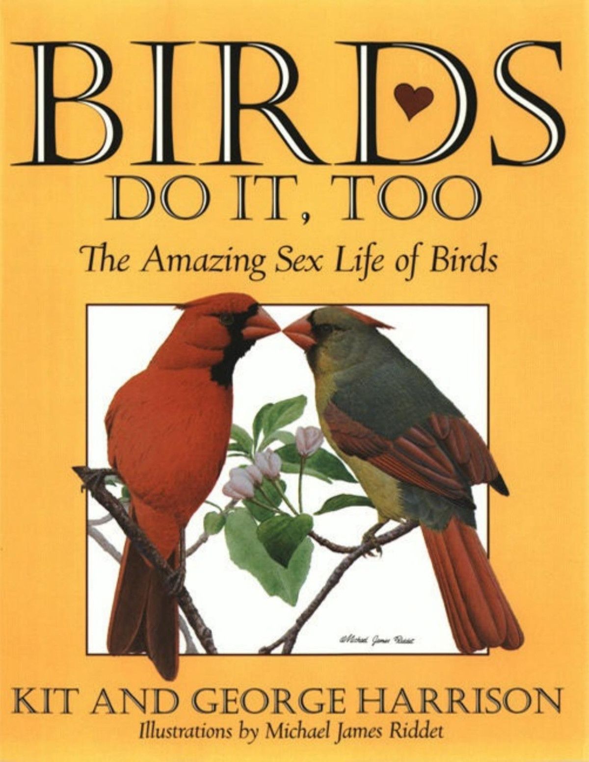 Birds Do It Too The Amazing Sex Life Of Birds George H Harrison