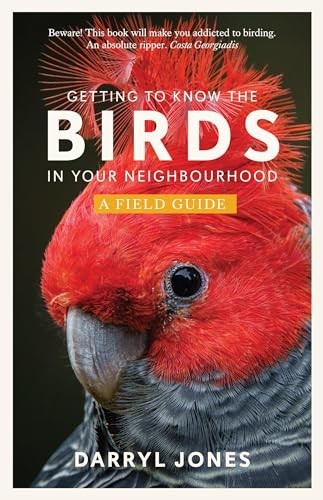 Getting To Know The Birds In Your Neighbourhood Darryl Jones