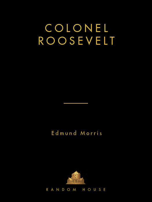 Colonel Roosevelt Edmund Morris