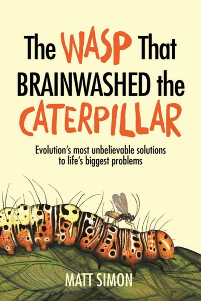 The Wasp That Brainwashed The Caterpillar Matt Simon