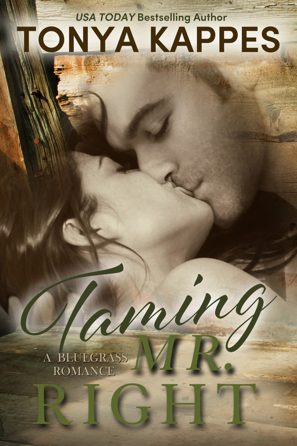 Taming Mr Right Bluegrass Romance 2 Tonya Kappes