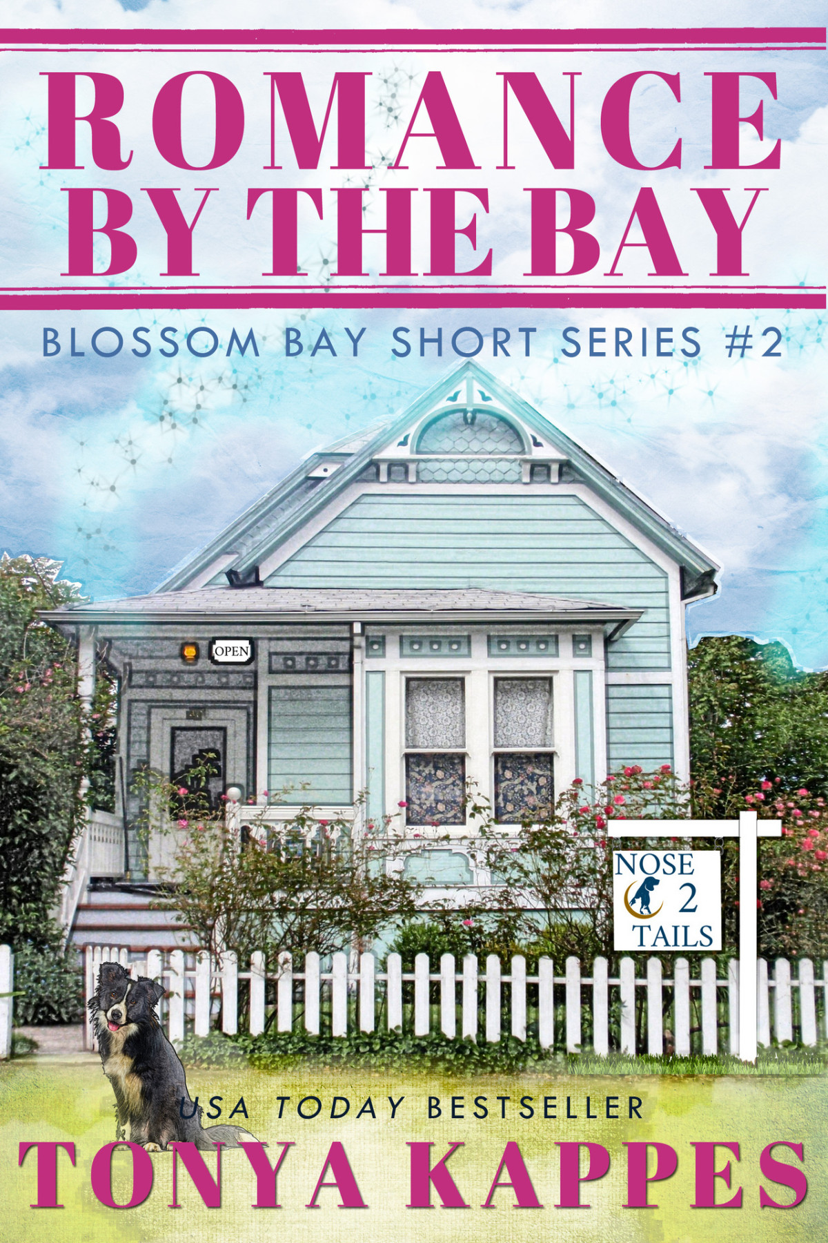 Romance By The Bay Blossom Bay Short Mystery 2 Tonya Kappes