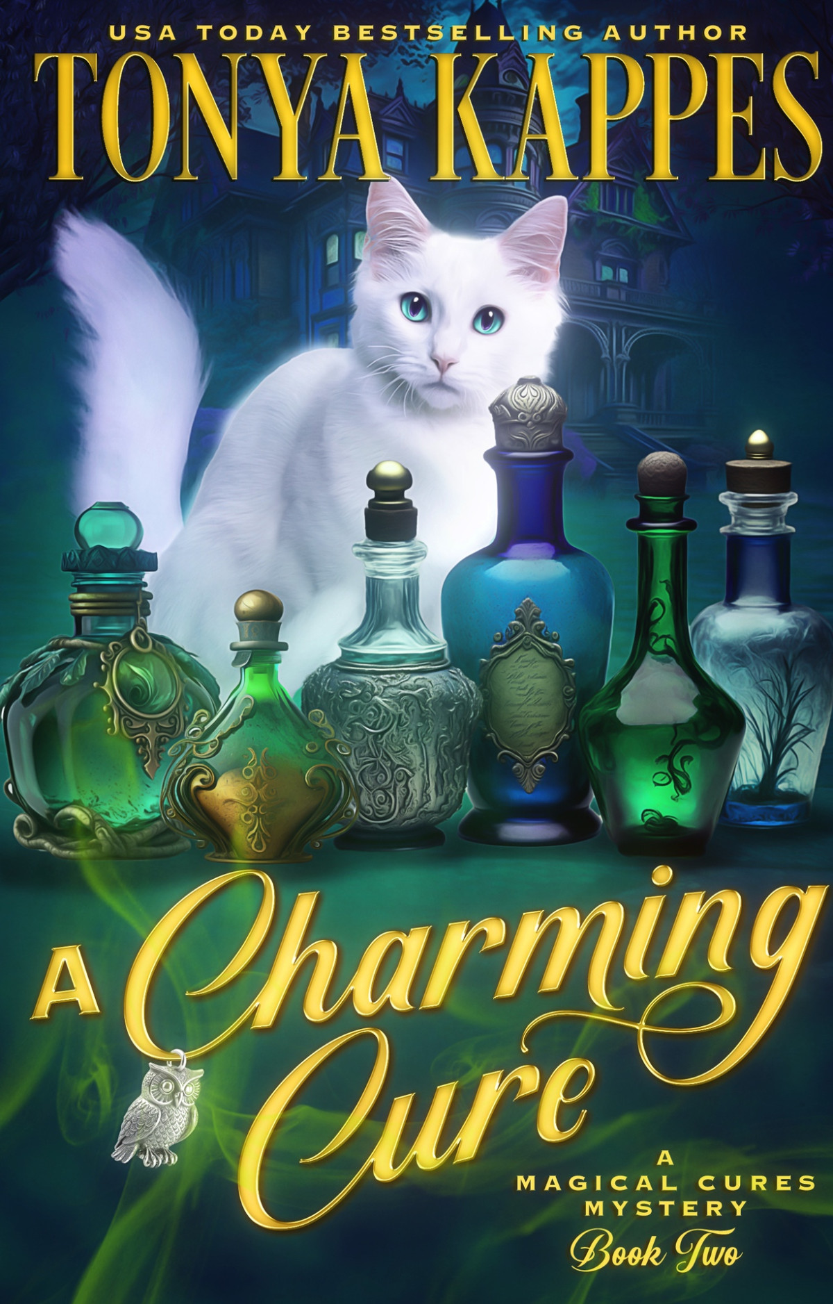 A Charming Cure Magical Cures Mystery 2 Tonya Kappes