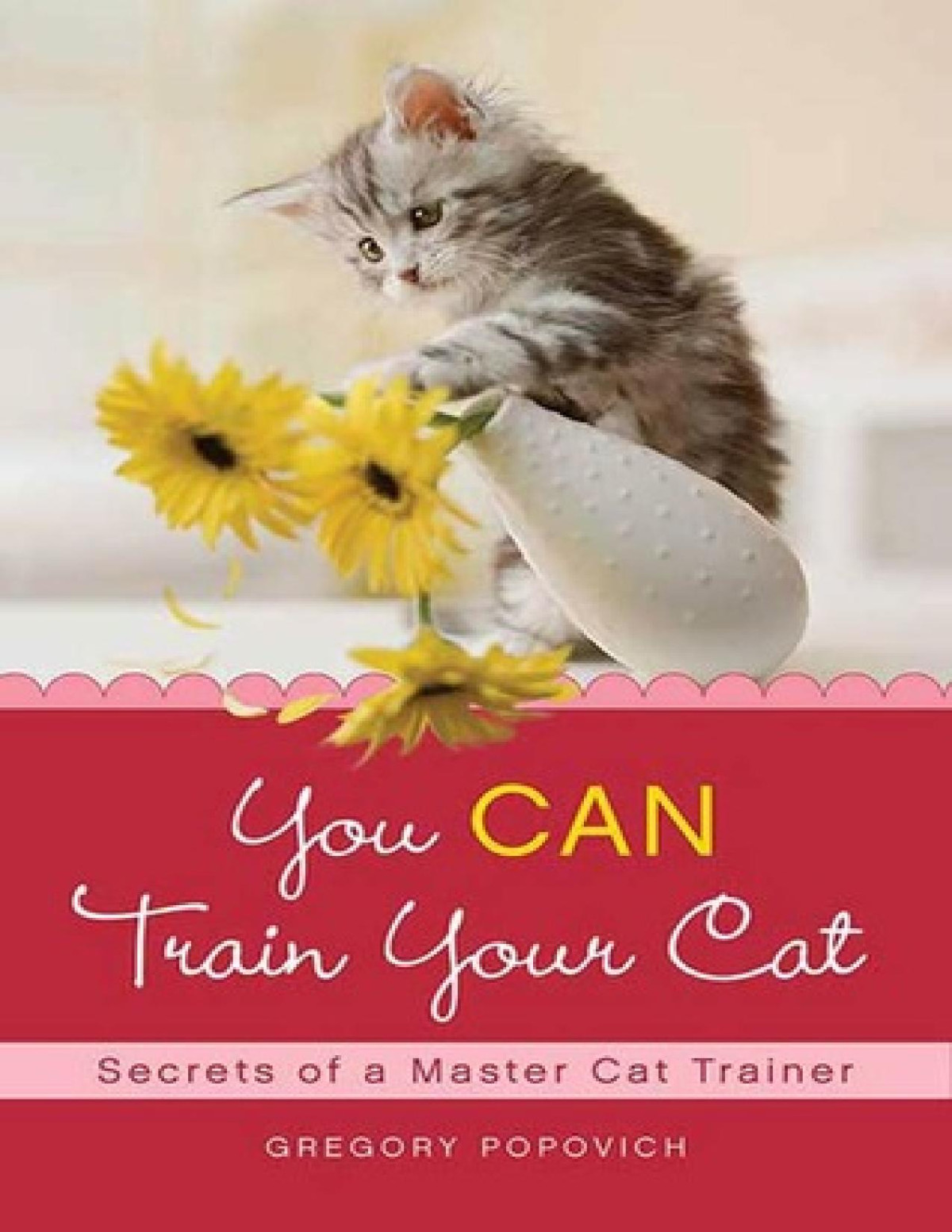 You Can Train Your Cat Secrets Of A Master Cat Trainer Gregory Popovich