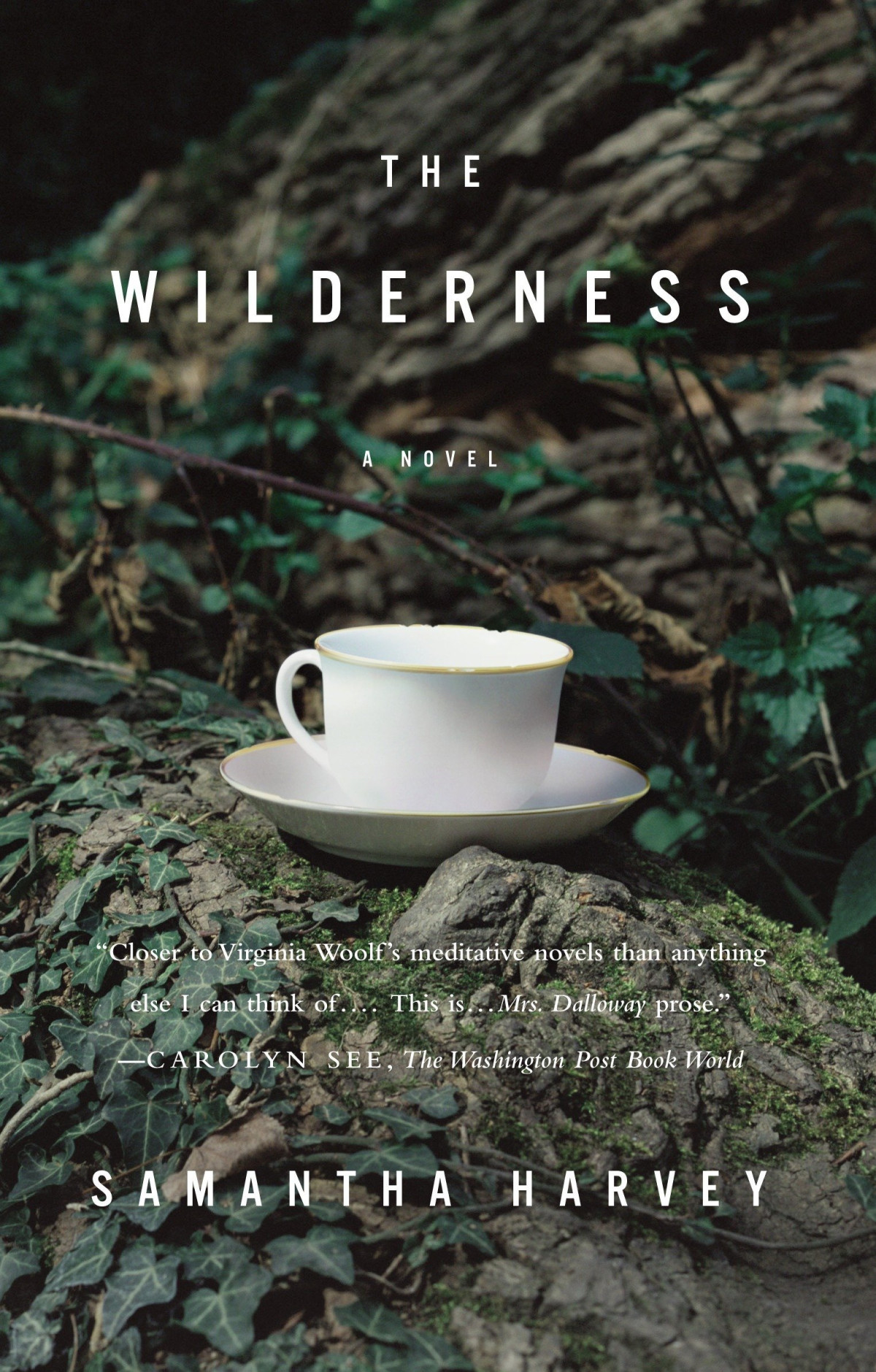 The Wilderness Samantha Harvey