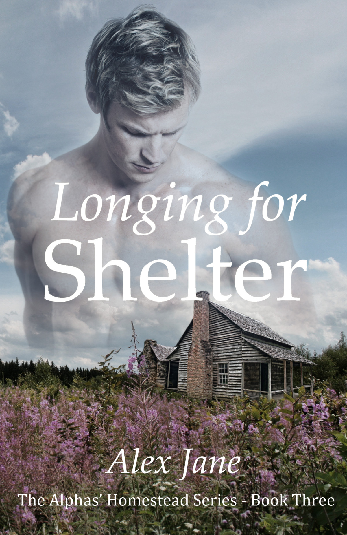 Longing For Shelter Alex Jane