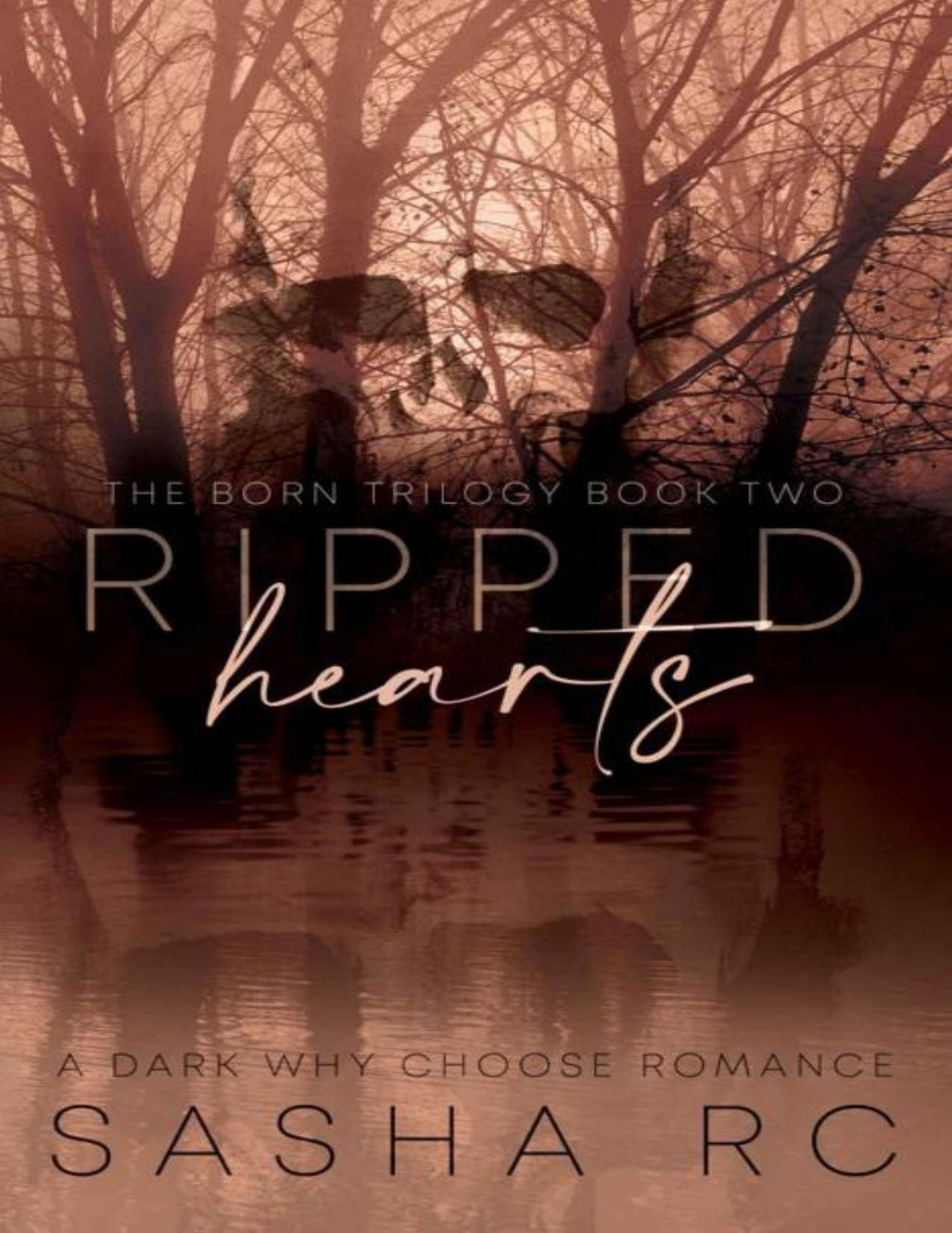Ripped Hearts Book 2 Rc Sasha
