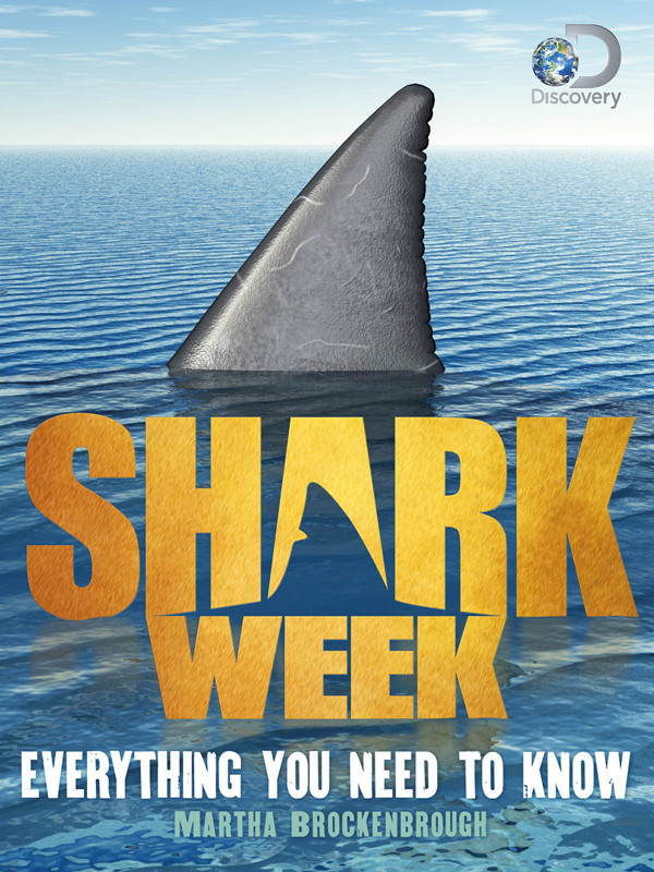 Shark Week Everything You Need To Know Discovery