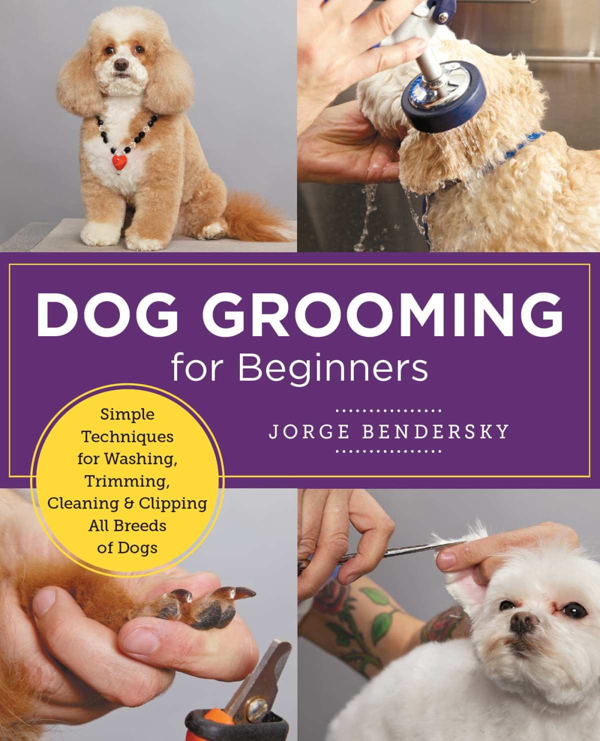 Dog Grooming For Beginners Bendersky Jorge