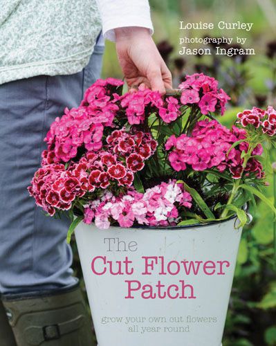 The Cut Flower Patch Louise Curley