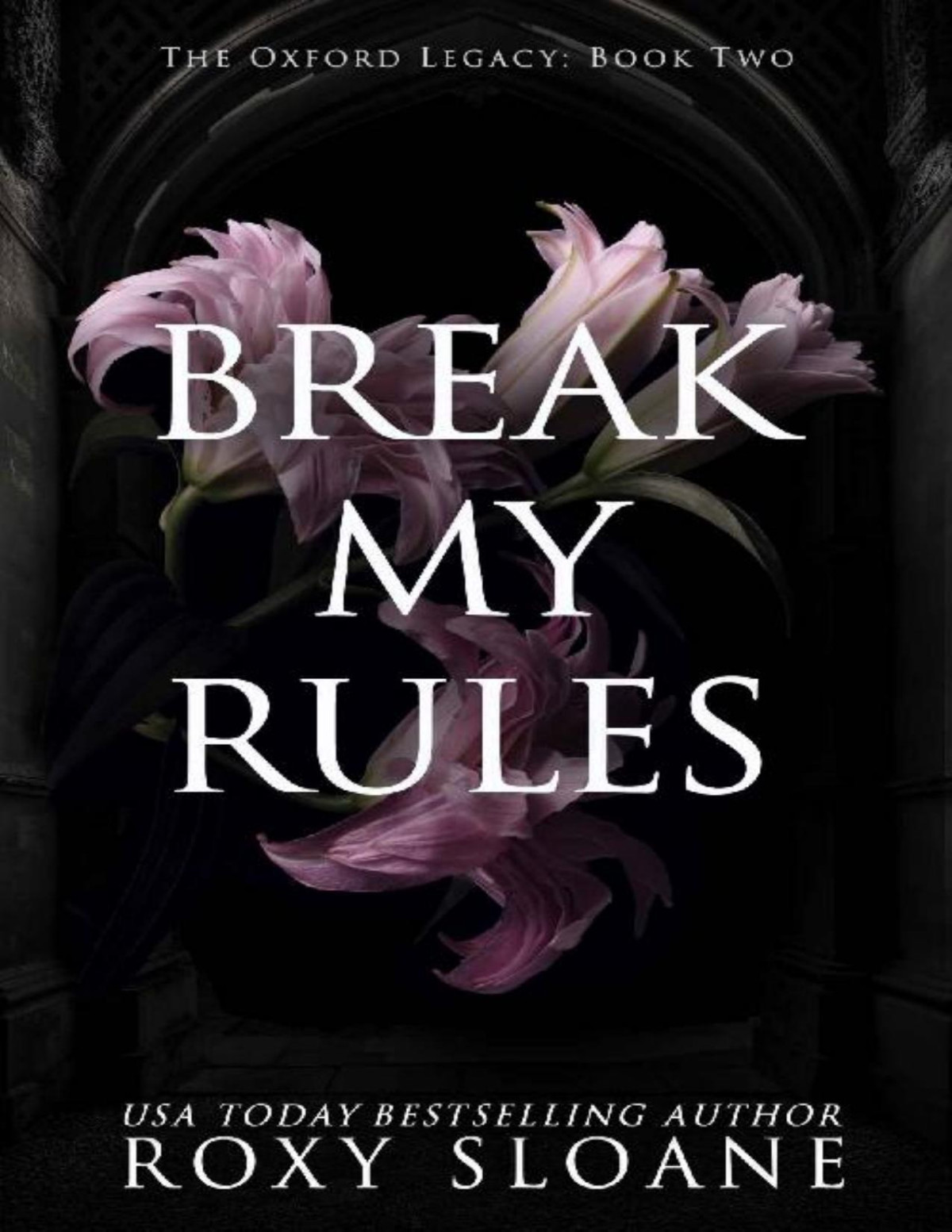 Break My Rules A Spicy Dark Academia Romance The Oxford Legacy Book 2 Roxy Sloane