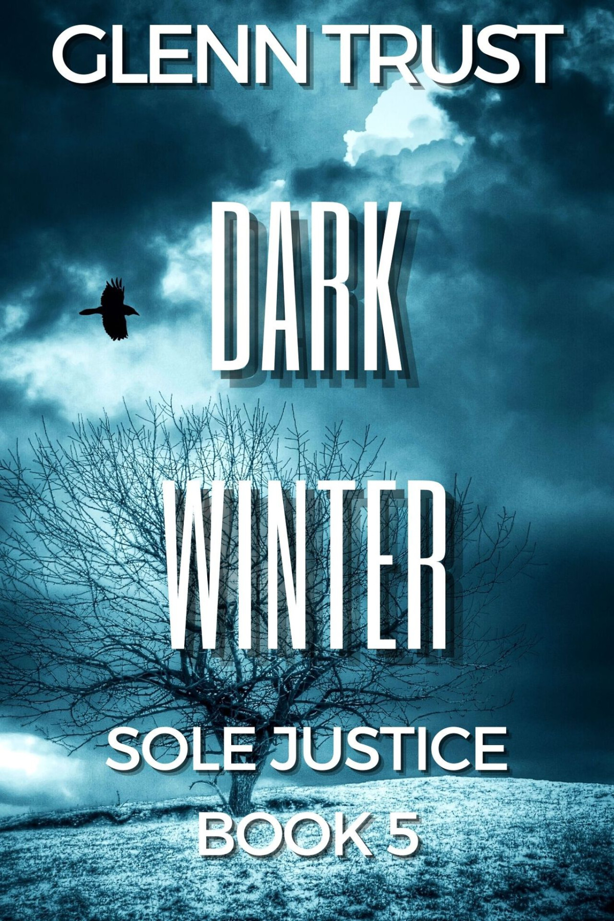 Sole Justice 05 Dark Winter Glenn Trust