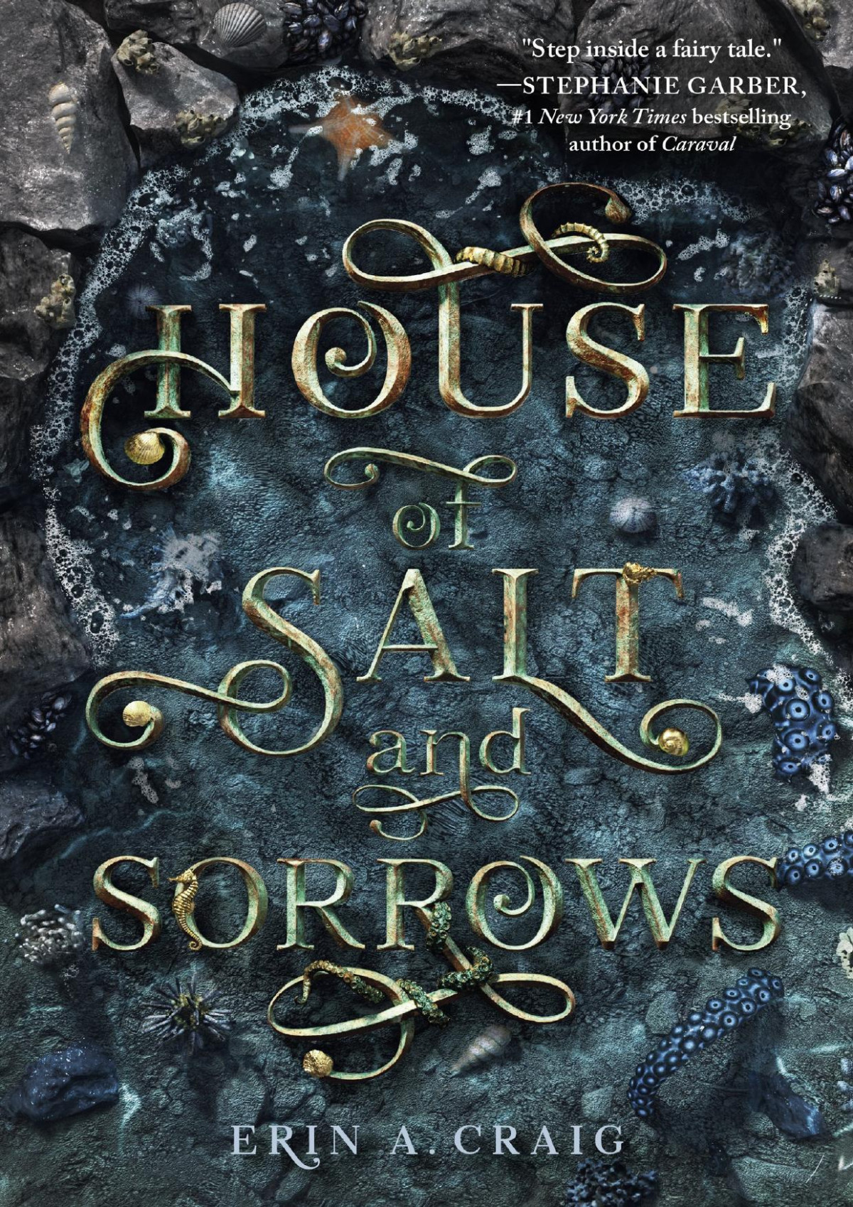 House Of Salt And Sorrows Erin A Craig