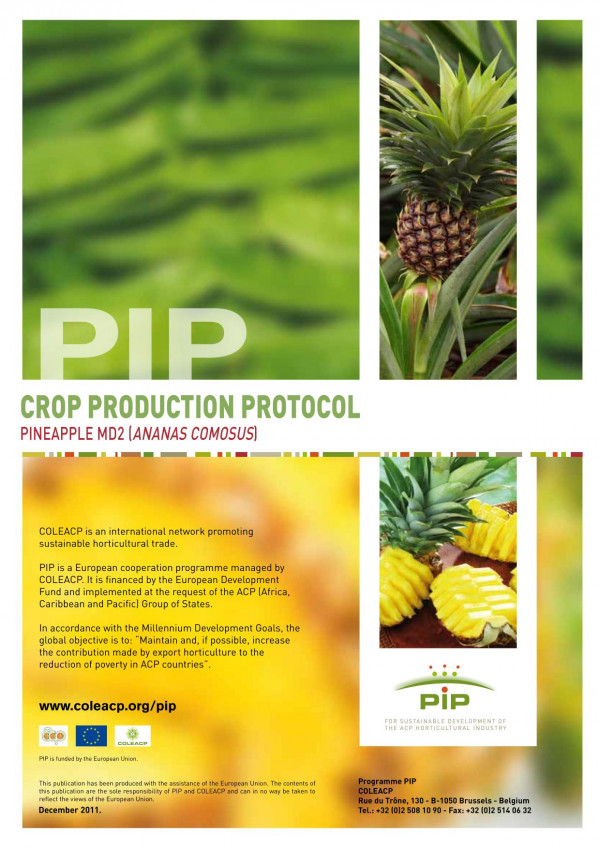 Crop Production Protocol Pineapple Md2 Ananas Comosus Programme Pip Coleacp