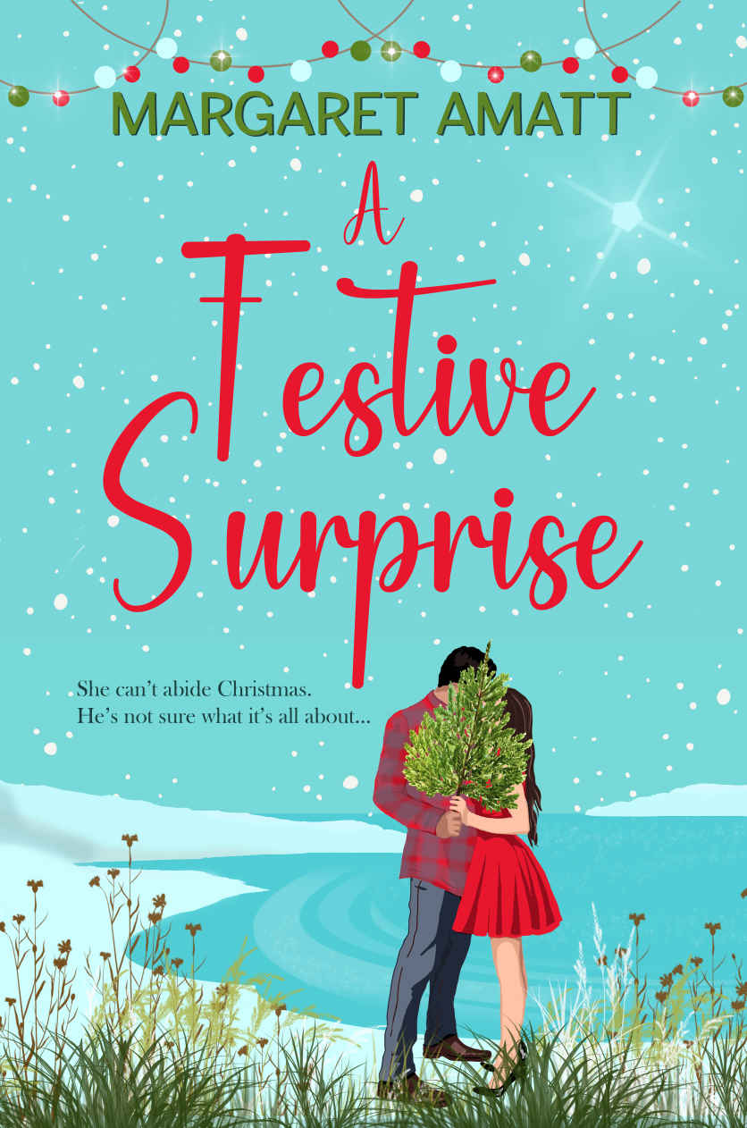 Scottish Islands Escapes 10 A Festive Surprise The Christmas Romcom With A Difference Margaret Amatt